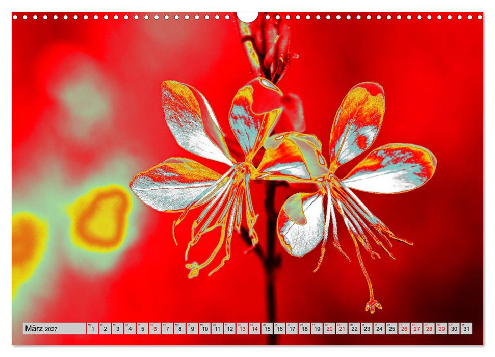 Blumen Pop-Art (CALVENDO Wandkalender 2027)