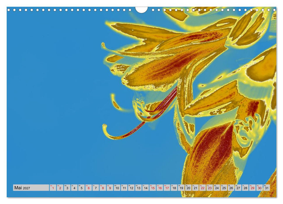 Blumen Pop-Art (CALVENDO Wandkalender 2027)
