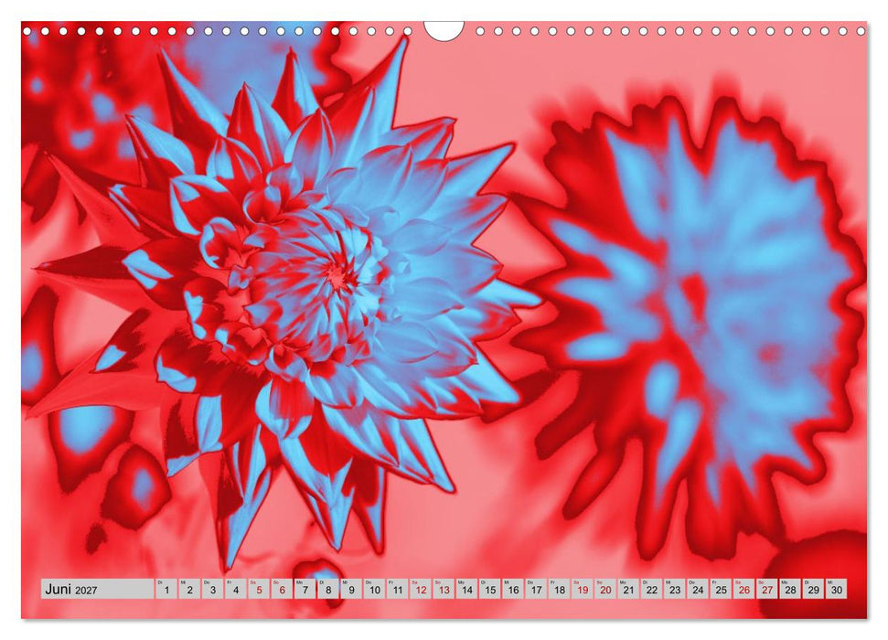 Blumen Pop-Art (CALVENDO Wandkalender 2027)