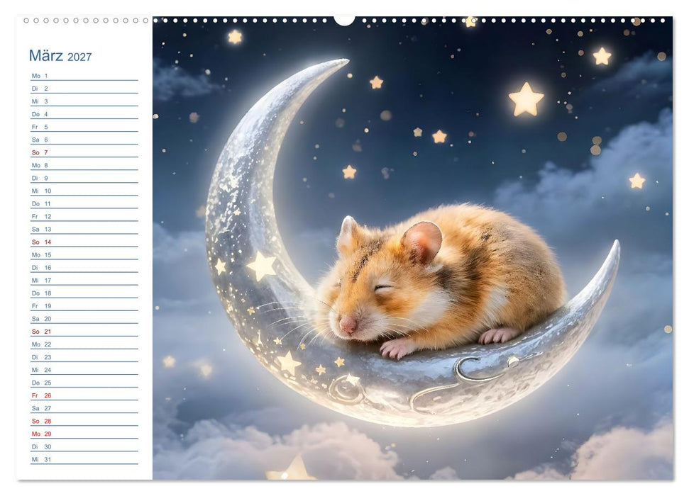 Mondpfötchen - Ein zauberhafter Hamster Gute-Nacht-Kalender (CALVENDO Premium Wandkalender 2027)