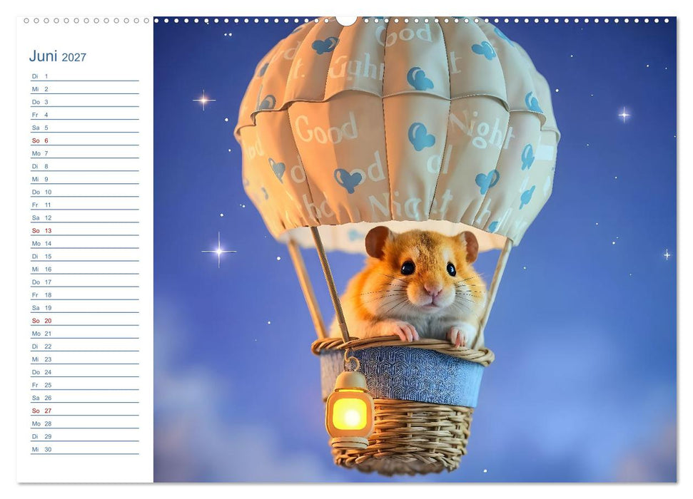 Mondpfötchen - Ein zauberhafter Hamster Gute-Nacht-Kalender (CALVENDO Premium Wandkalender 2027)