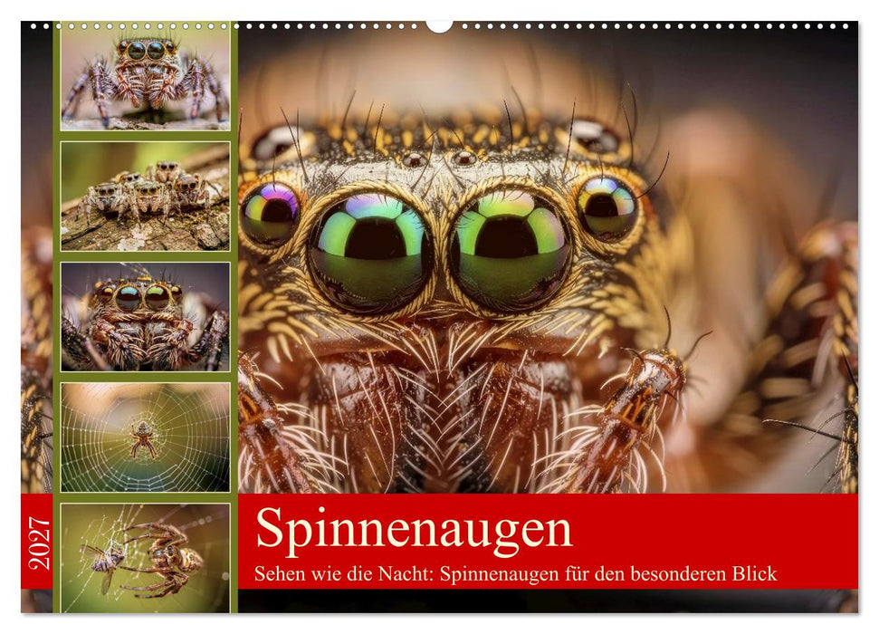 Spinnenaugen (CALVENDO Wandkalender 2027)
