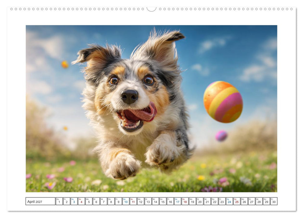 WUFF und WOW (CALVENDO Wandkalender 2027)
