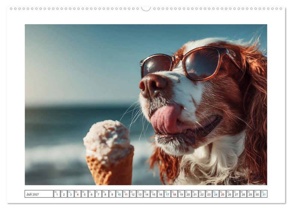 WUFF und WOW (CALVENDO Premium Wandkalender 2027)