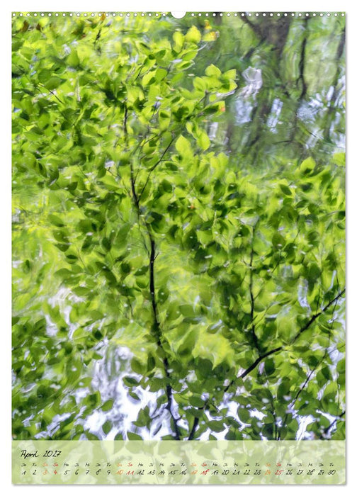 Wo der Wald träumt (CALVENDO Premium Wandkalender 2027)