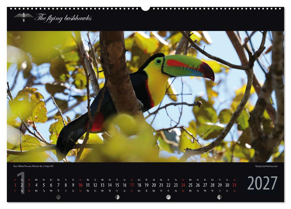 Costa Rica Blickwinkel 2027 (CALVENDO Premium Wandkalender 2027)