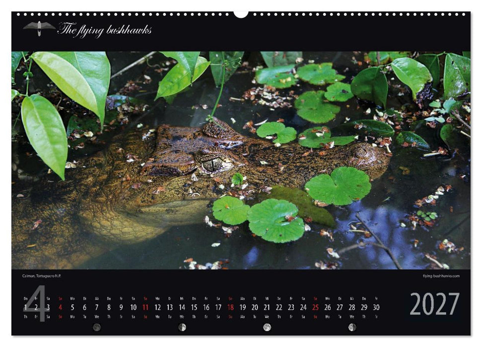 Costa Rica Blickwinkel 2027 (CALVENDO Premium Wandkalender 2027)