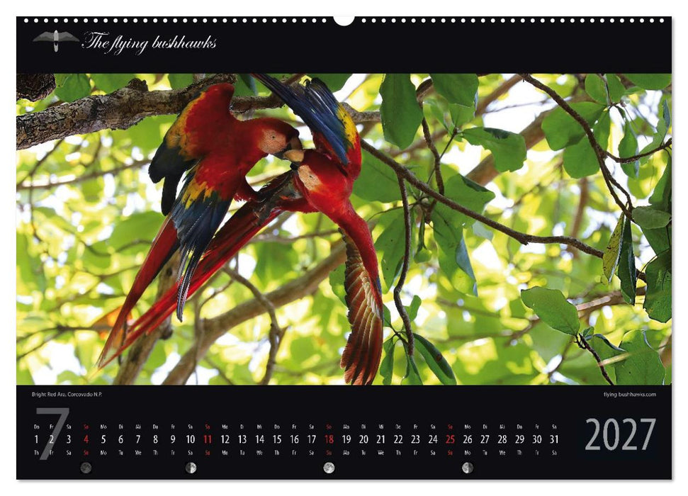 Costa Rica Blickwinkel 2027 (CALVENDO Premium Wandkalender 2027)