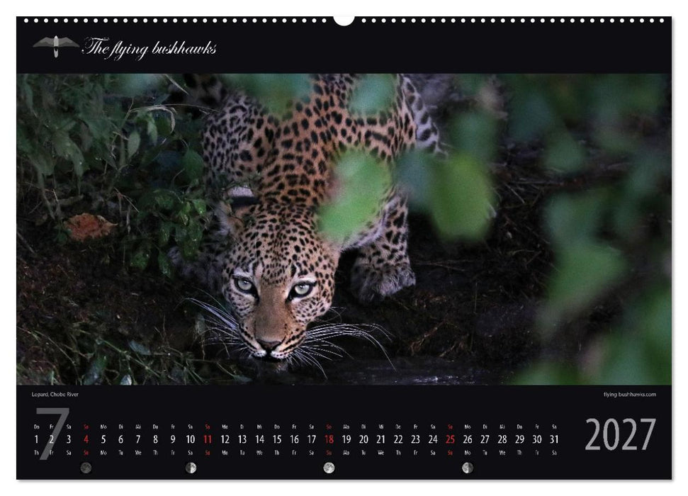 Botswana Blickwinkel 2027 (CALVENDO Premium Wandkalender 2027)