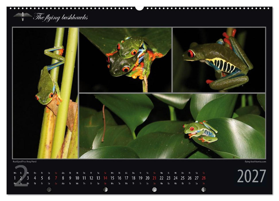 Costa Rica Blickwinkel 2027 (CALVENDO Wandkalender 2027)
