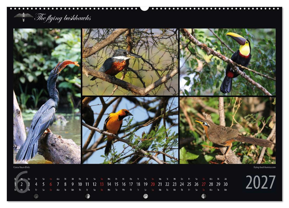 Costa Rica Blickwinkel 2027 (CALVENDO Wandkalender 2027)