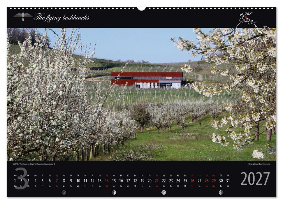 Wein & Architektur 2027 (CALVENDO Premium Wandkalender 2027)