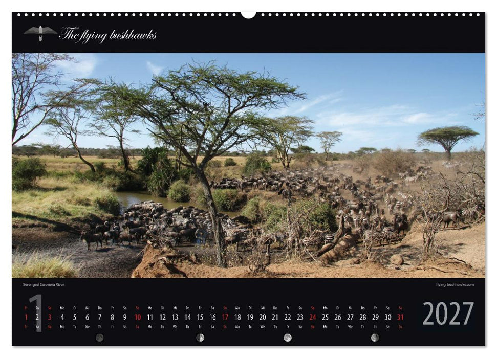 Tansania Blickwinkel 2027 (CALVENDO Wandkalender 2027)