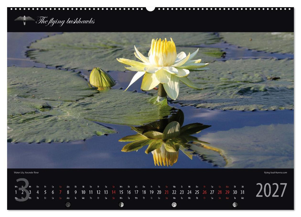 Botswana Blickwinkel 2027 (CALVENDO Wandkalender 2027)