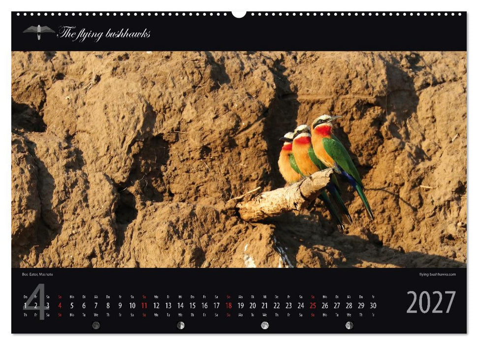 Botswana Blickwinkel 2027 (CALVENDO Wandkalender 2027)