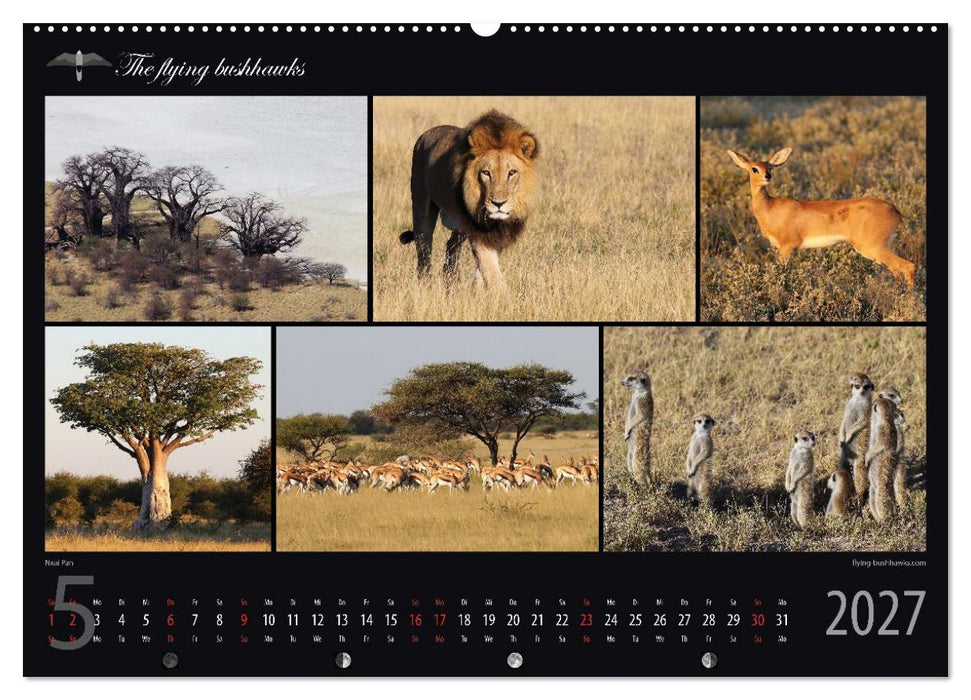 Botswana Blickwinkel 2027 (CALVENDO Wandkalender 2027)