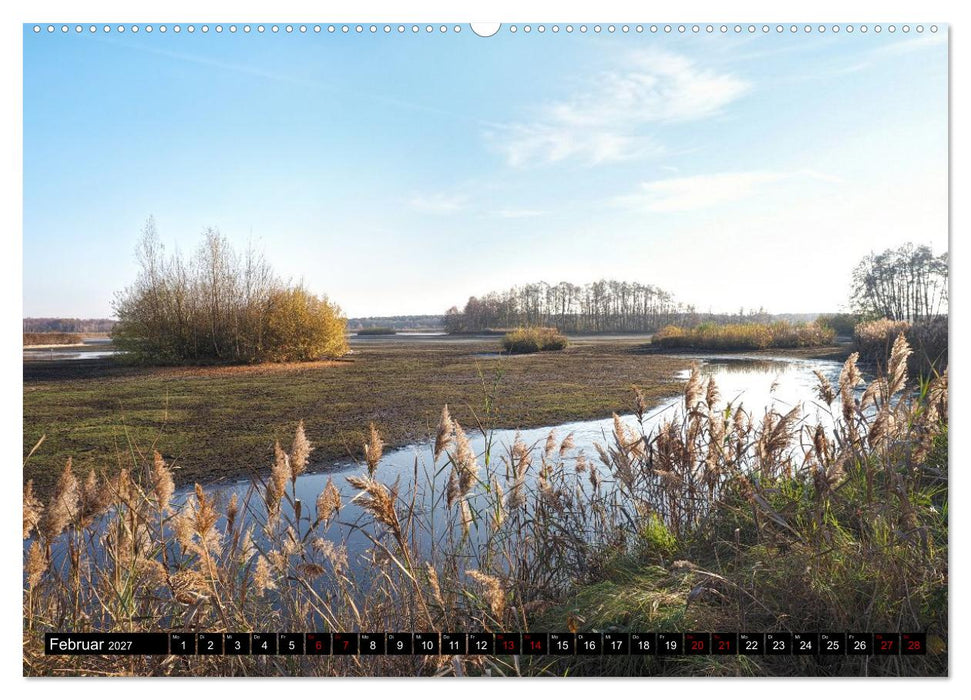 Naturparadies Meißendorfer Teiche – Rund um den Hüttensee (CALVENDO Wandkalender 2027)
