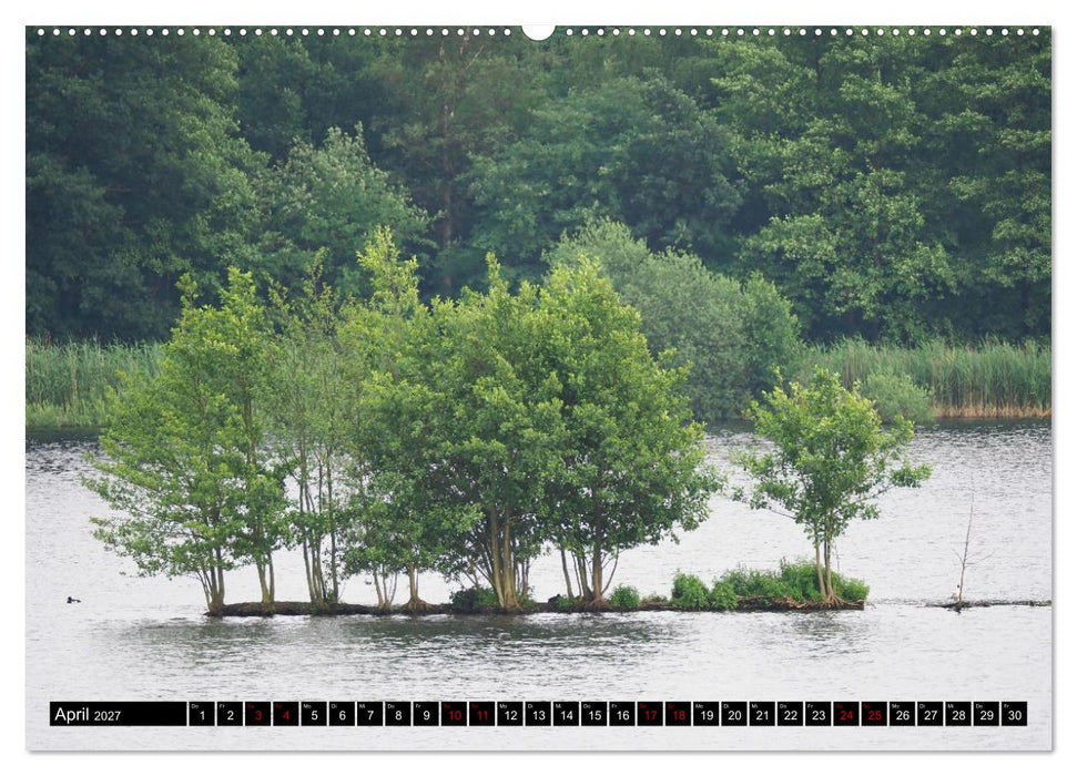 Naturparadies Meißendorfer Teiche – Rund um den Hüttensee (CALVENDO Wandkalender 2027)
