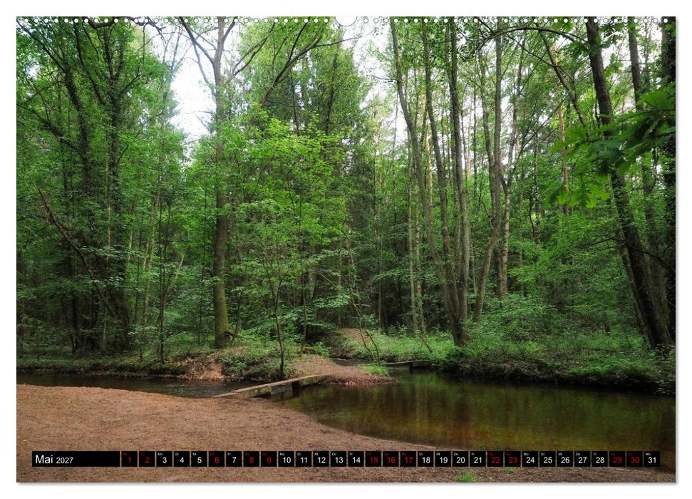 Naturparadies Meißendorfer Teiche – Rund um den Hüttensee (CALVENDO Wandkalender 2027)