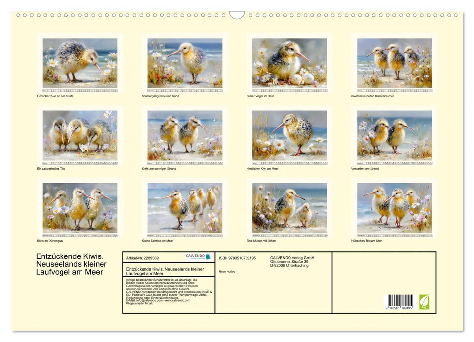 Entzückende Kiwis. Neuseelands kleiner Laufvogel am Meer (CALVENDO Wandkalender 2027)