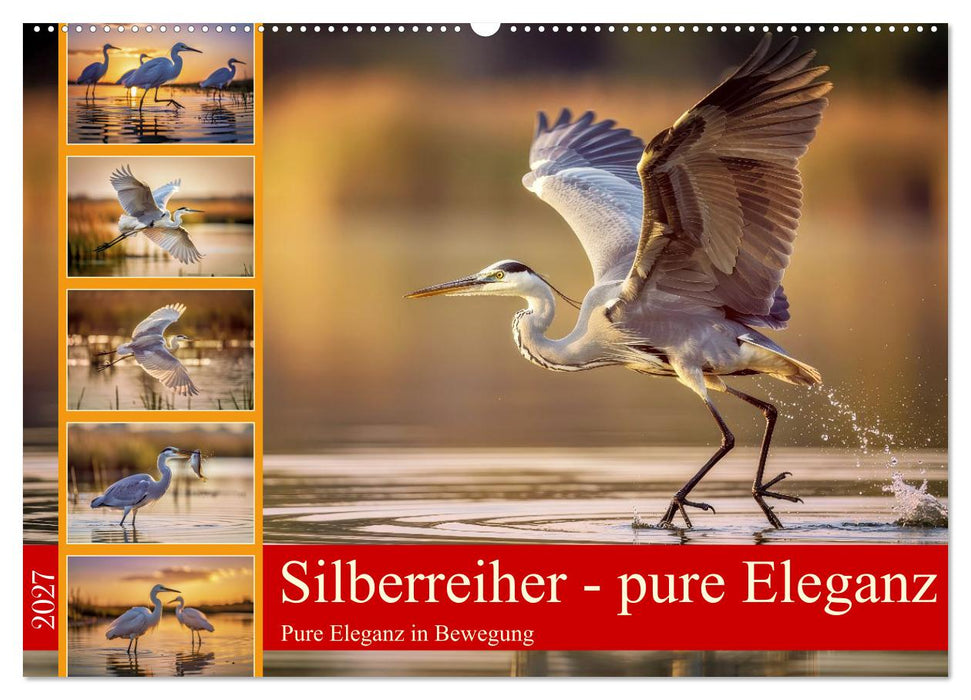 Silberreiher - pure Eleganz (CALVENDO Wandkalender 2027)