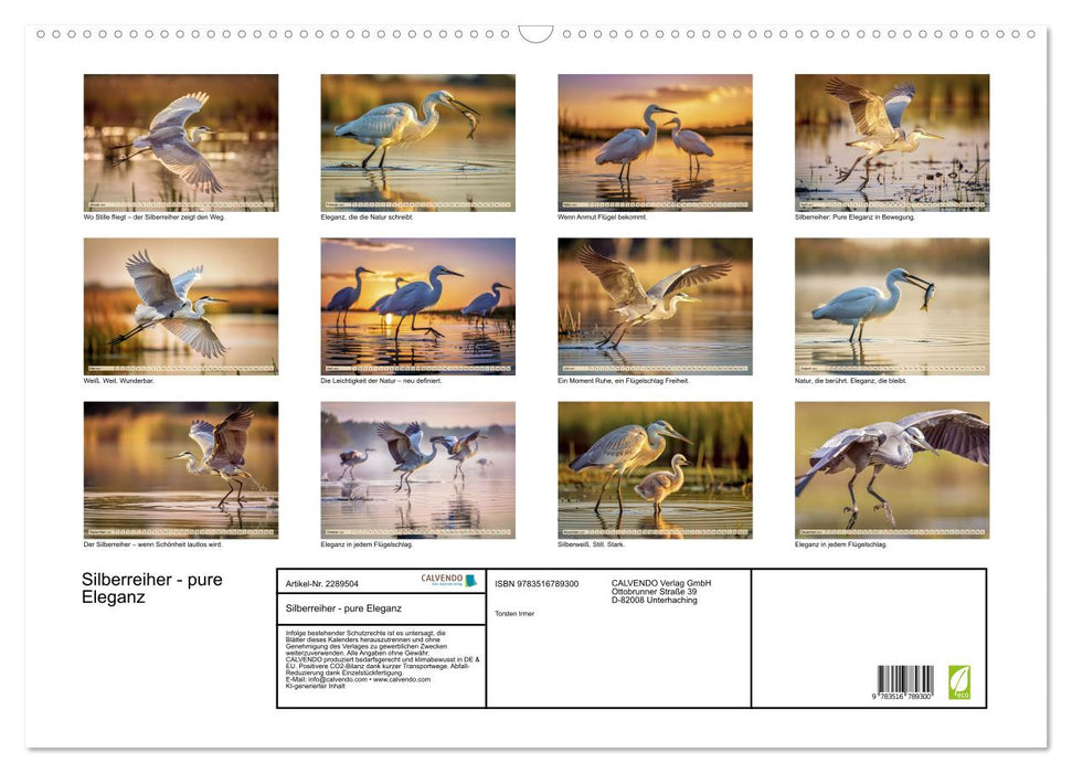 Silberreiher - pure Eleganz (CALVENDO Wandkalender 2027)
