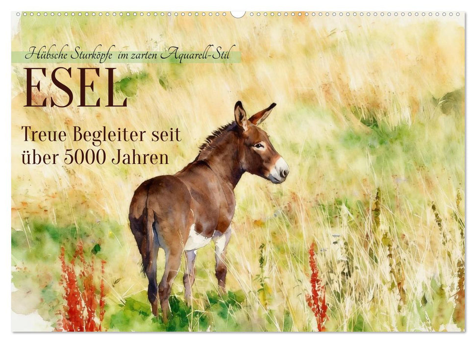 Esel - Treue Begleiter seit über 5000 Jahren (CALVENDO Wandkalender 2027)
