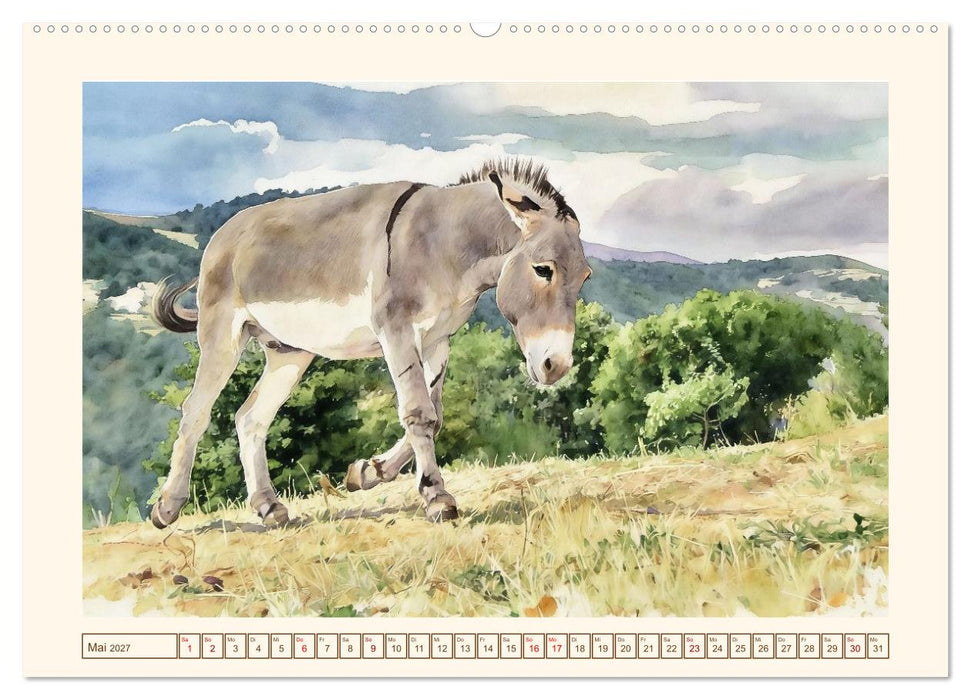 Esel - Treue Begleiter seit über 5000 Jahren (CALVENDO Wandkalender 2027)