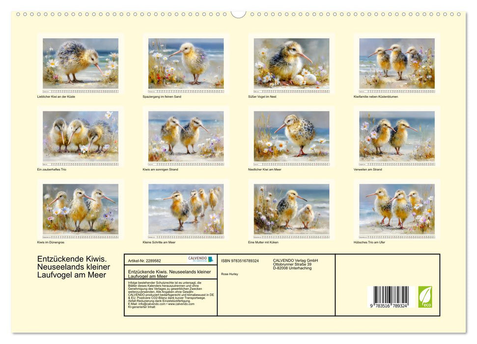 Entzückende Kiwis. Neuseelands kleiner Laufvogel am Meer (CALVENDO Premium Wandkalender 2027)