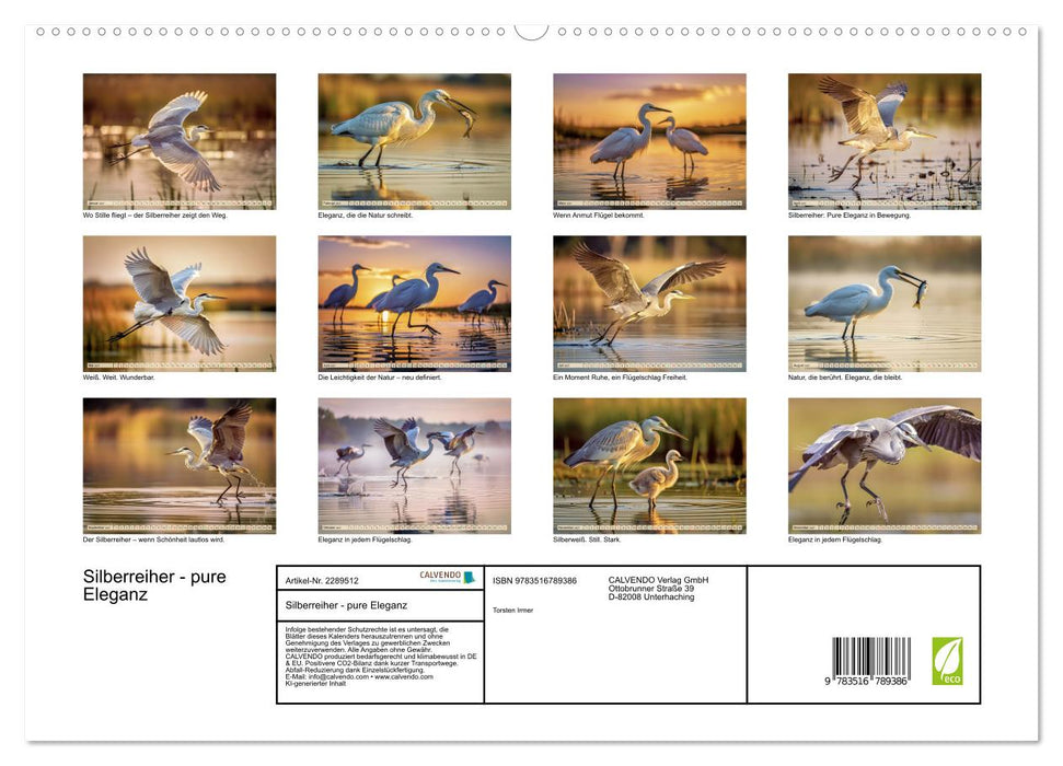 Silberreiher - pure Eleganz (CALVENDO Premium Wandkalender 2027)