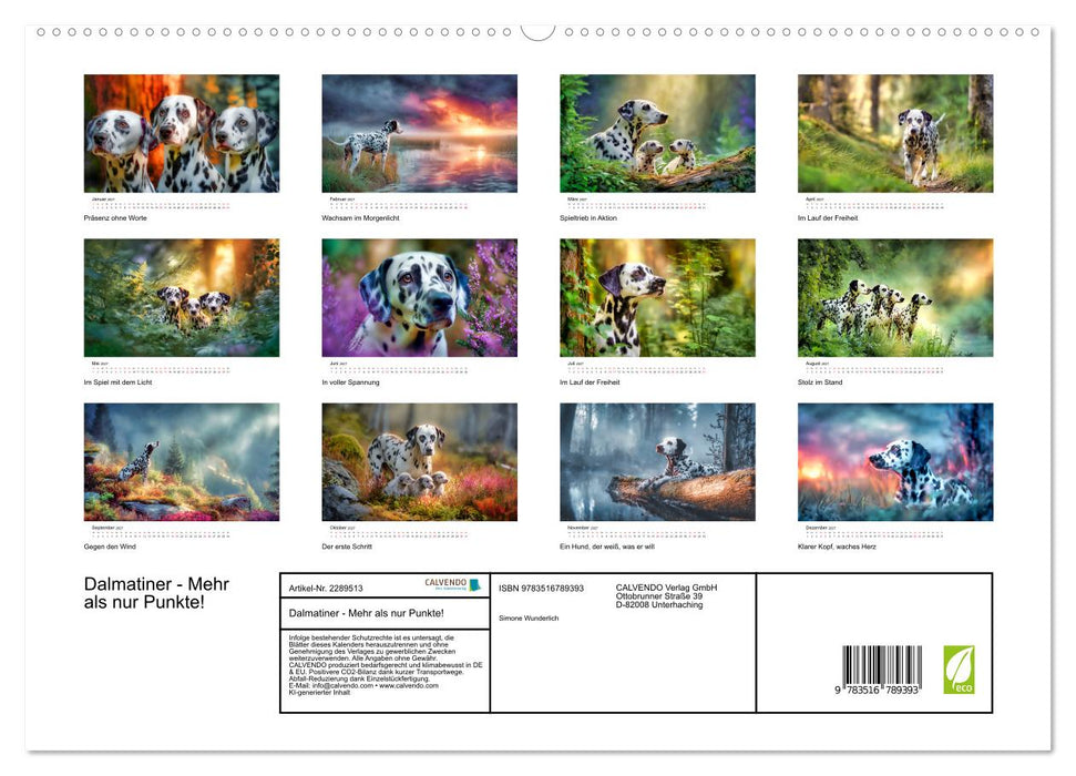 Dalmatiner - Mehr als nur Punkte! (CALVENDO Premium Wandkalender 2027)