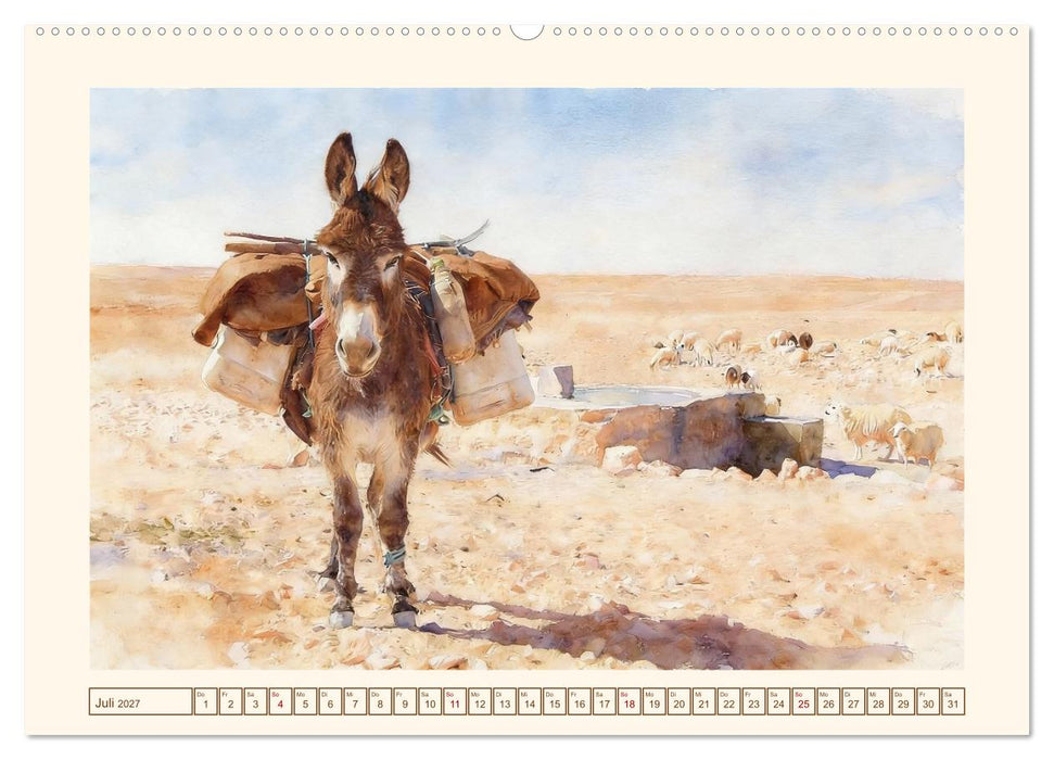 Esel - Treue Begleiter seit über 5000 Jahren (CALVENDO Premium Wandkalender 2027)