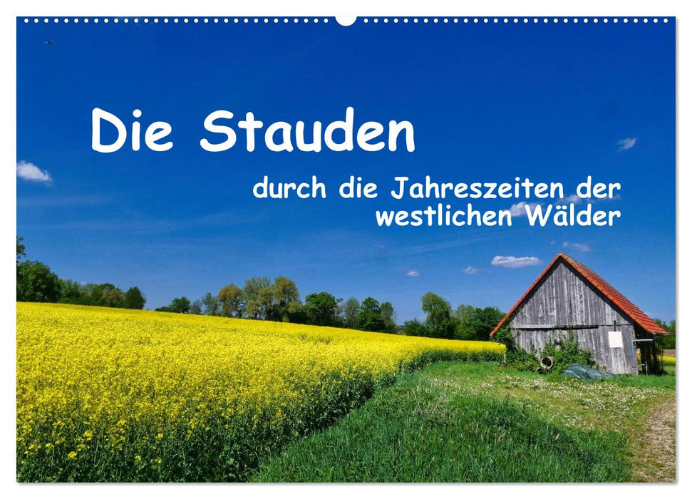 Die Stauden - durch die Jahreszeiten der westlichen Wälder (CALVENDO Wandkalender 2027)