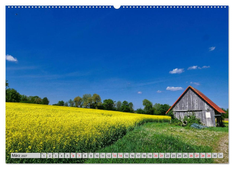 Die Stauden - durch die Jahreszeiten der westlichen Wälder (CALVENDO Wandkalender 2027)