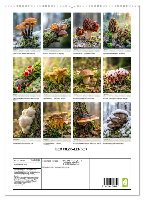 DER PILZKALENDER (CALVENDO Premium Wandkalender 2027)