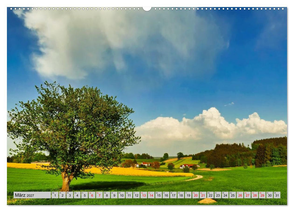 Die Stauden, eine Landschaft aus dem Bilderbuch (CALVENDO Premium Wandkalender 2027)
