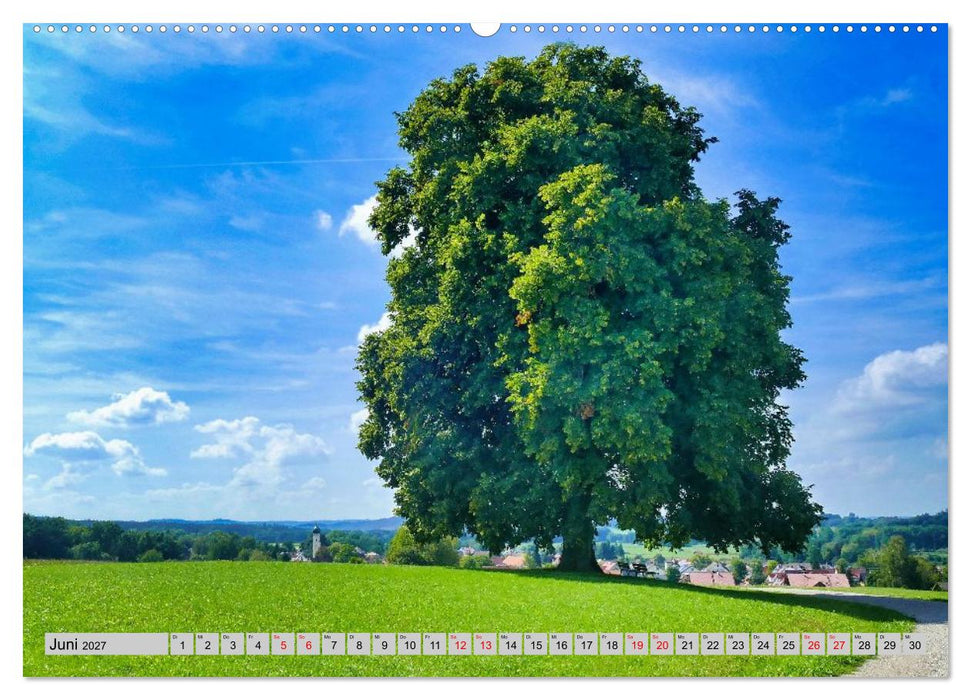 Die Stauden, eine Landschaft aus dem Bilderbuch (CALVENDO Premium Wandkalender 2027)