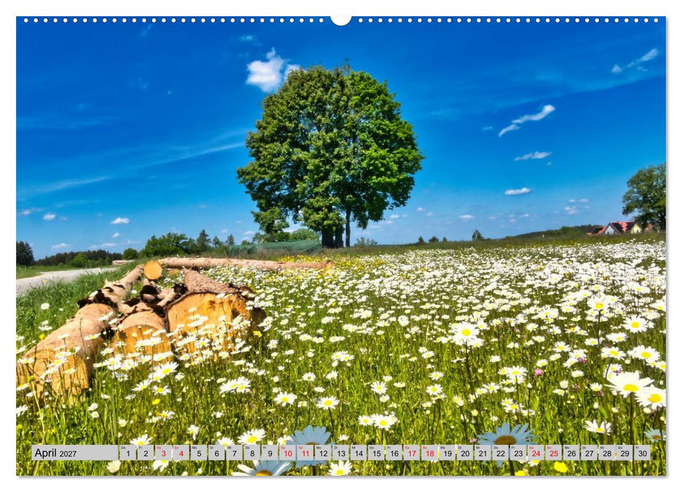 Die Stauden - durch die Jahreszeiten der westlichen Wälder (CALVENDO Premium Wandkalender 2027)