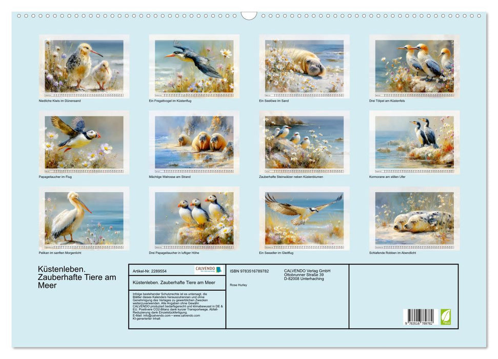 Küstenleben. Zauberhafte Tiere am Meer (CALVENDO Wandkalender 2027)