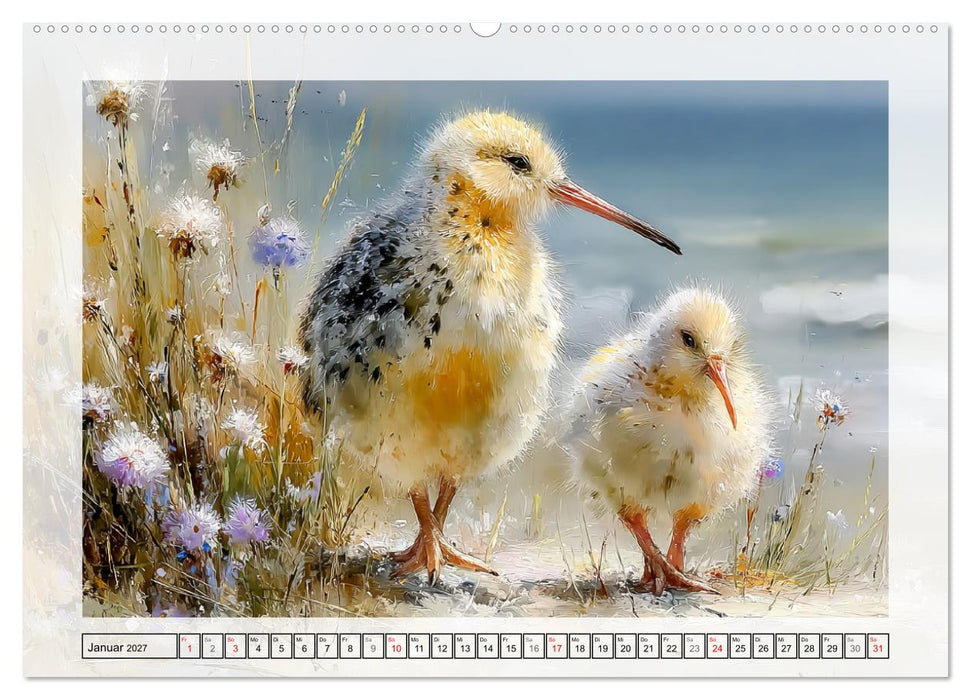 Küstenleben. Zauberhafte Tiere am Meer (CALVENDO Wandkalender 2027)