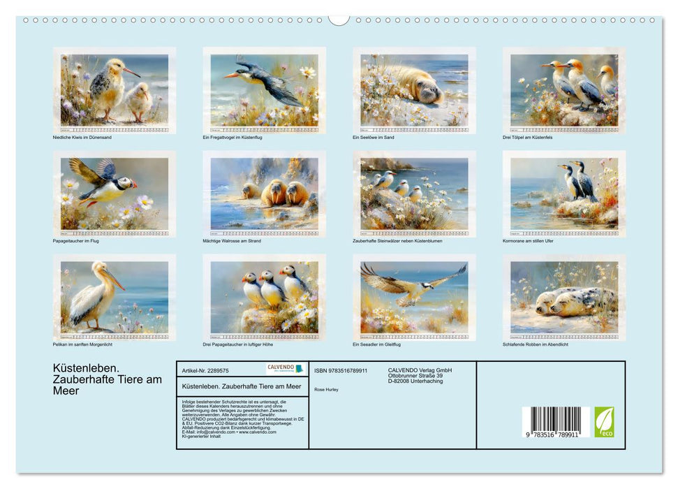 Küstenleben. Zauberhafte Tiere am Meer (CALVENDO Premium Wandkalender 2027)