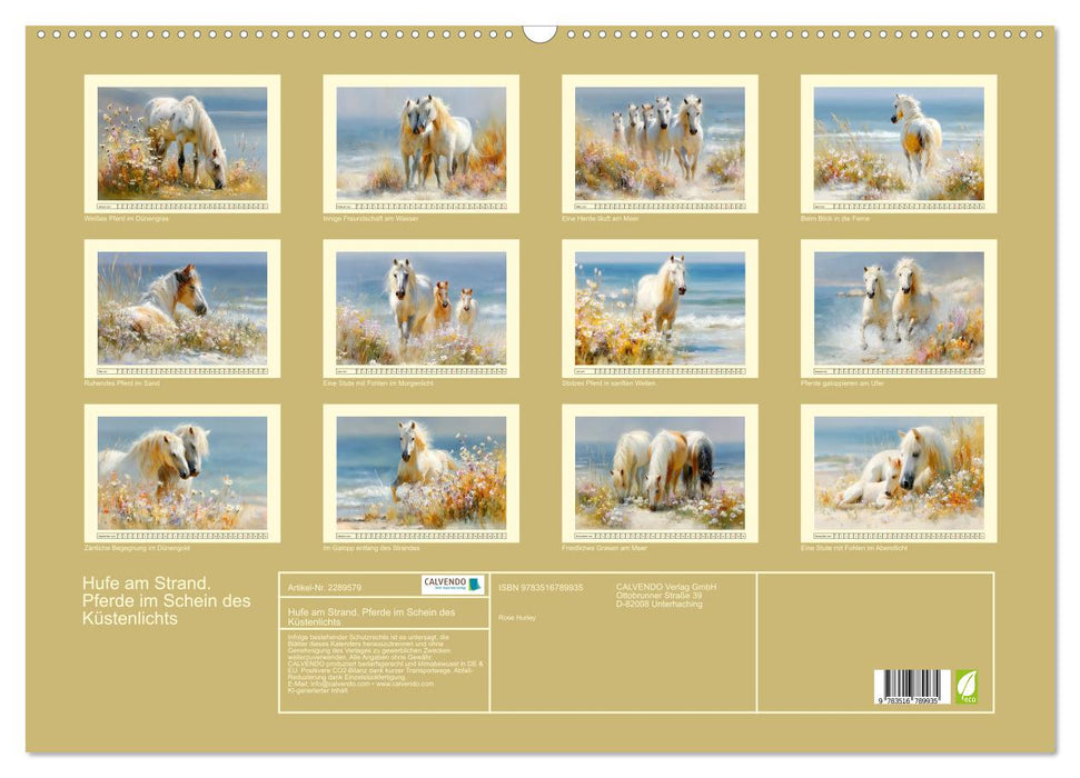 Hufe am Strand. Pferde im Schein des Küstenlichts (CALVENDO Wandkalender 2027)