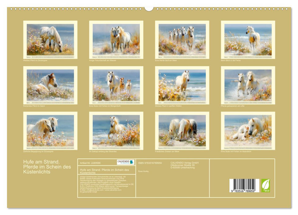 Hufe am Strand. Pferde im Schein des Küstenlichts (CALVENDO Premium Wandkalender 2027)