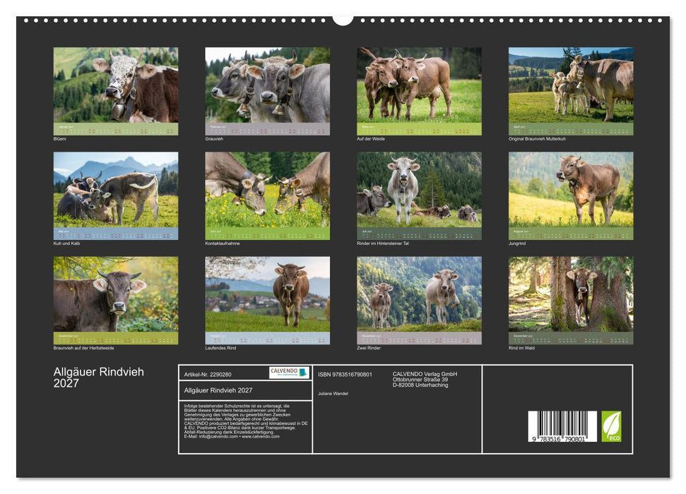 Allgäuer Rindvieh 2027 (CALVENDO Premium Wandkalender 2027)