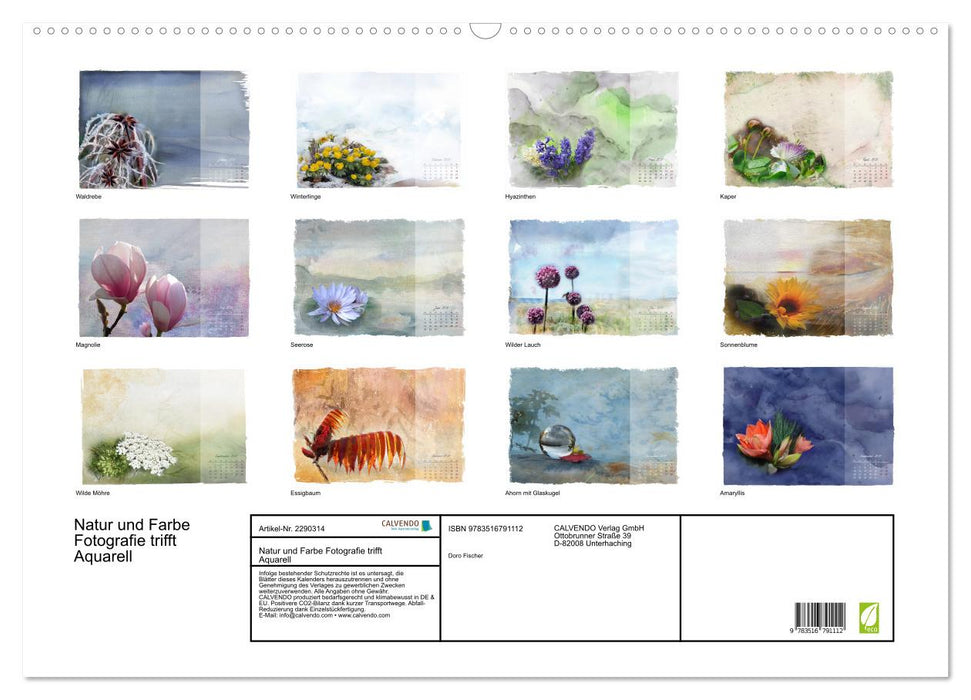 Natur und Farbe Fotografie trifft Aquarell (CALVENDO Wandkalender 2027)