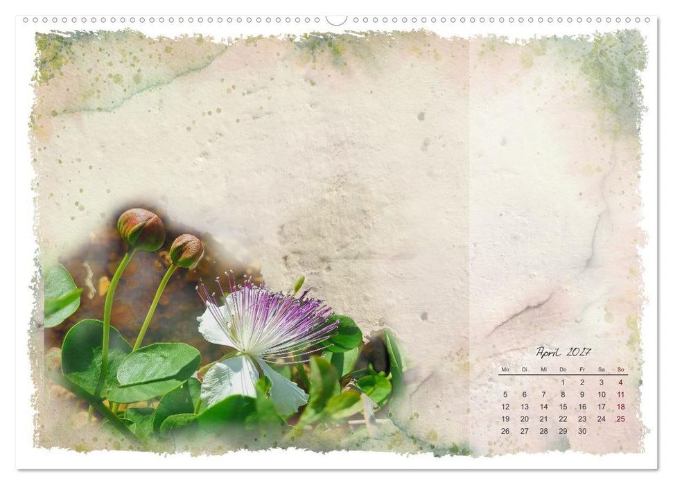 Natur und Farbe Fotografie trifft Aquarell (CALVENDO Wandkalender 2027)