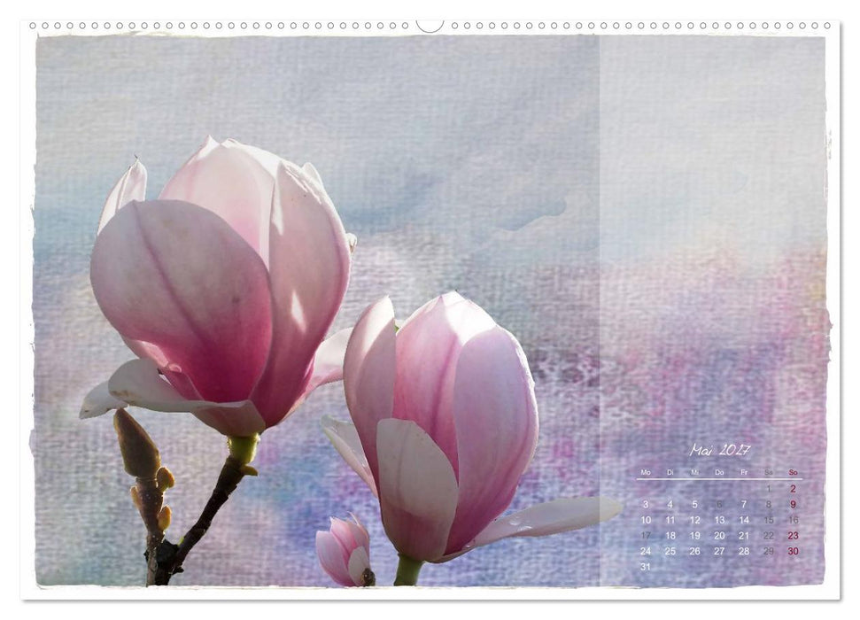 Natur und Farbe Fotografie trifft Aquarell (CALVENDO Wandkalender 2027)