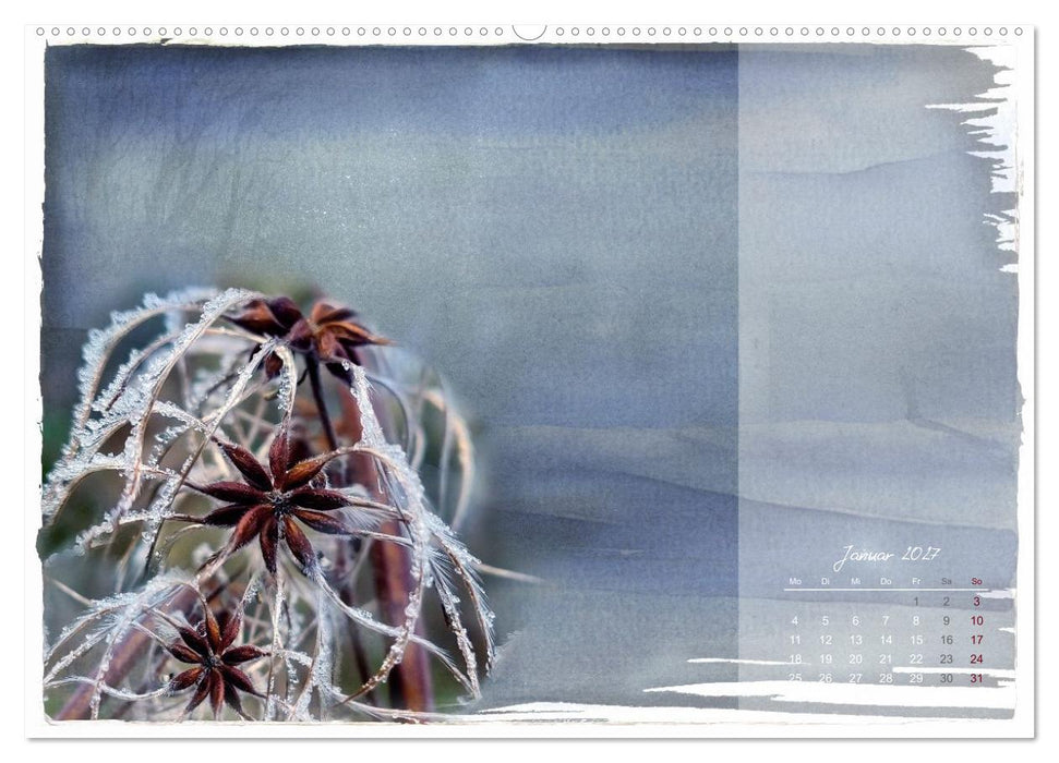 Natur und Farbe Fotografie trifft Aquarell (CALVENDO Premium Wandkalender 2027)