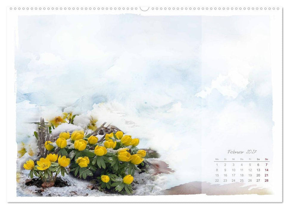 Natur und Farbe Fotografie trifft Aquarell (CALVENDO Premium Wandkalender 2027)