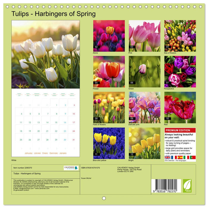 Tulips - Harbingers of Spring (CALVENDO Monthly Calendar 2027)